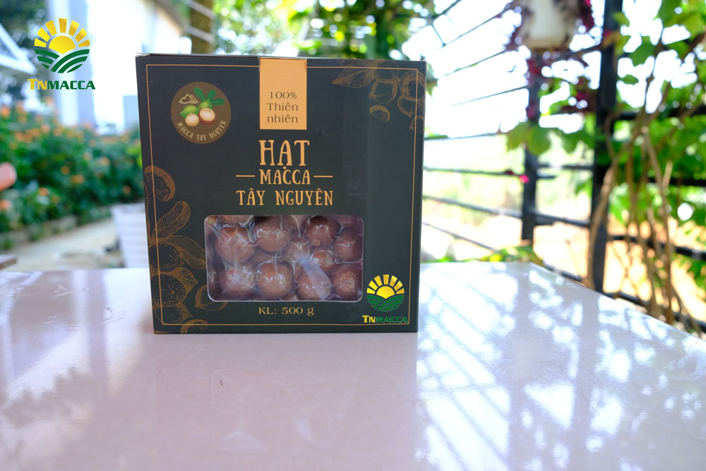 Hạt Macadamia có tác dụng gì cho sức khỏe mỗi chúng ta