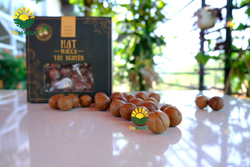 Cách làm sữa hạt mắc ca tại nhà