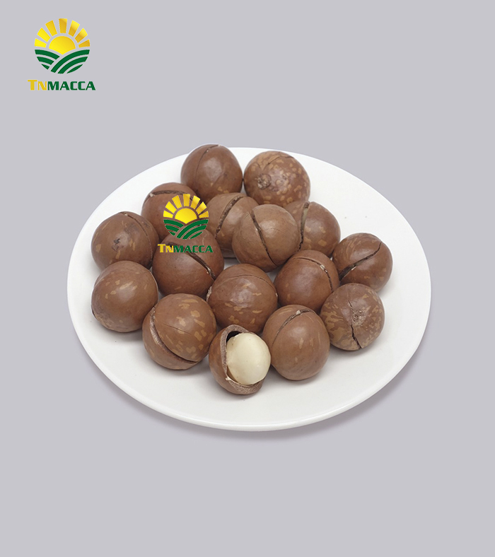 Macca Sấy Nứt Flagship Đặc Biệt Sỉ  Đóng Container Xuất Khẩu