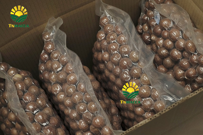 Macca Sấy Nứt Flagship Đặc Biệt Sỉ  Đóng Container Xuất Khẩu