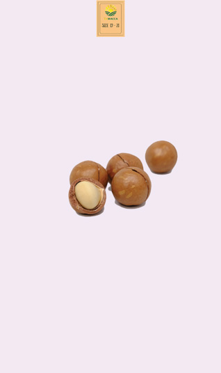 Macca sấy nứt size 19-21 mm  Hộp 500g 